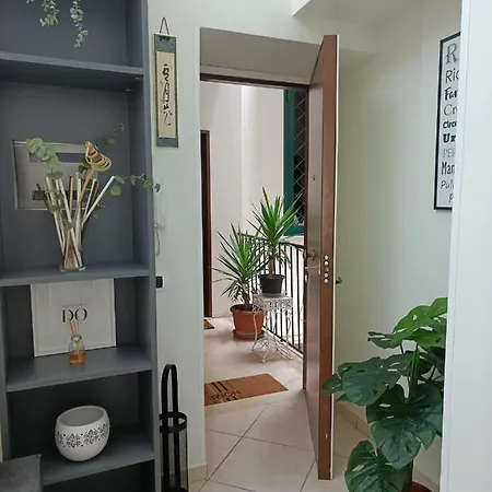 Apartment Domusmadre *