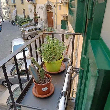 Apartment Domusmadre